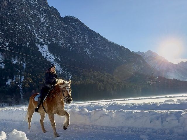Arnie im Galopp auf der verschneiten Rennbahn, dahinter Berge in der Wintersonne